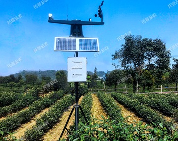 自動農業氣象站